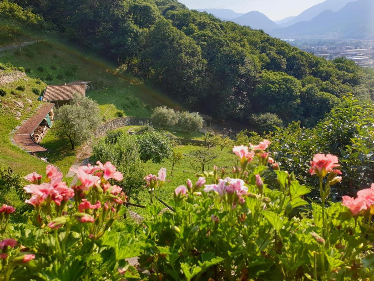 Villa D'Epoca Le Capele Gratacasolo Екстер'єр фото
