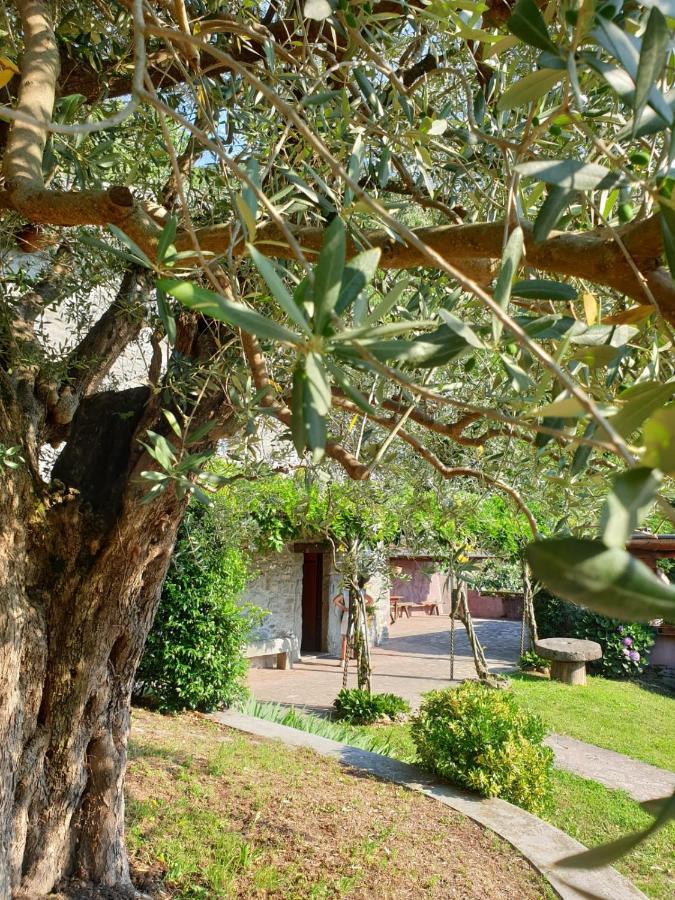 Villa D'Epoca Le Capele Gratacasolo Екстер'єр фото